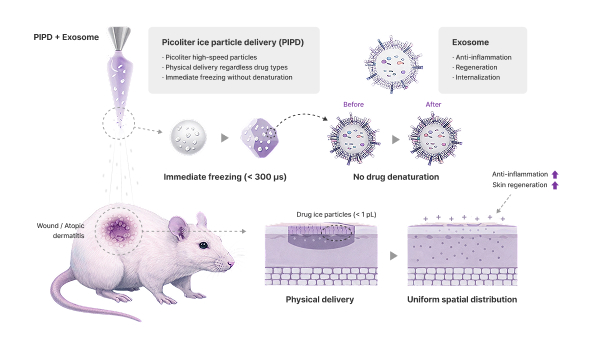 Publications Image
